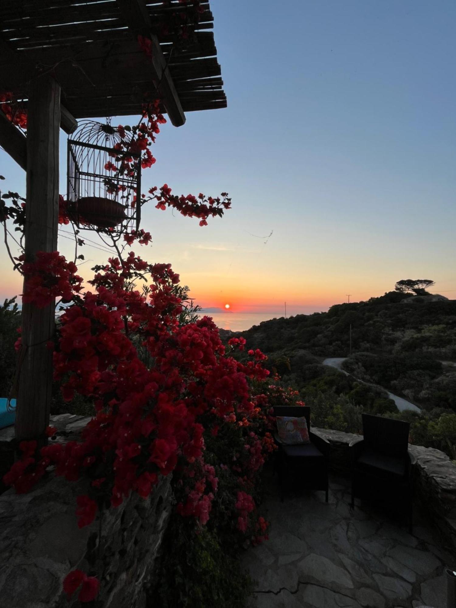 Walnut Tree Farm Agia Anastasia