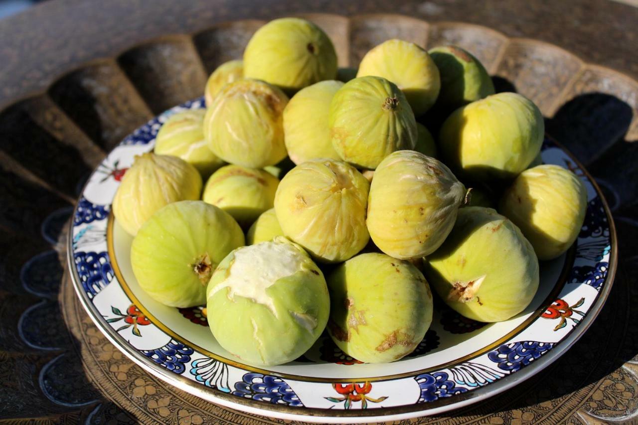 Walnut Tree Farm Agia Anastasia