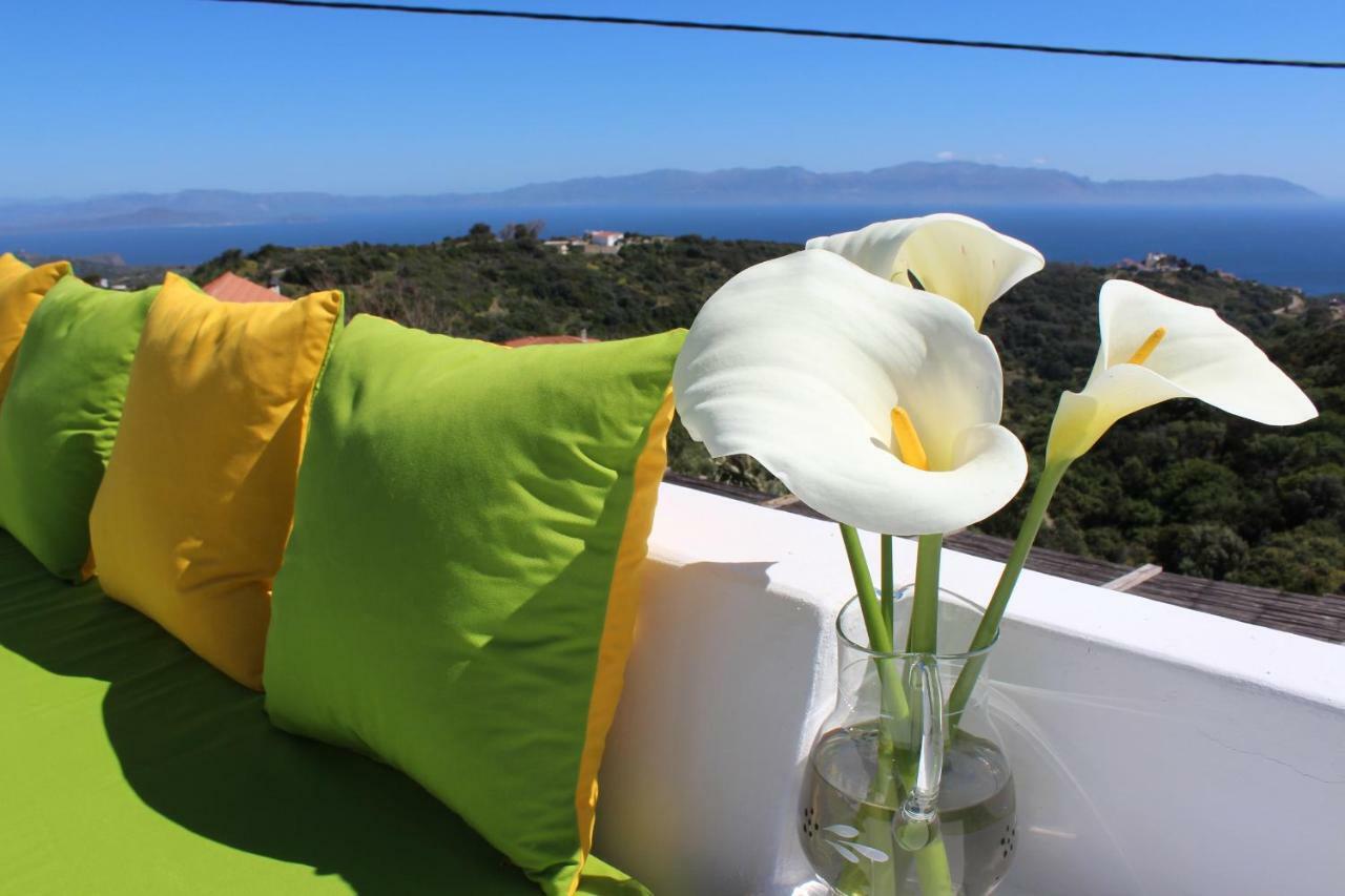 Walnut Tree Farm Agia Anastasia